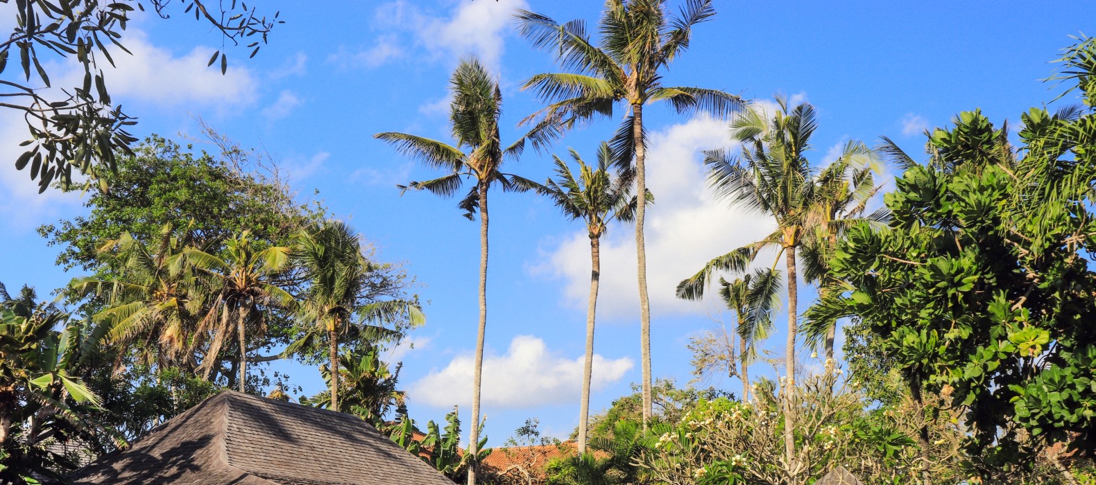 Exterior area of Villa Fortuna in Bali