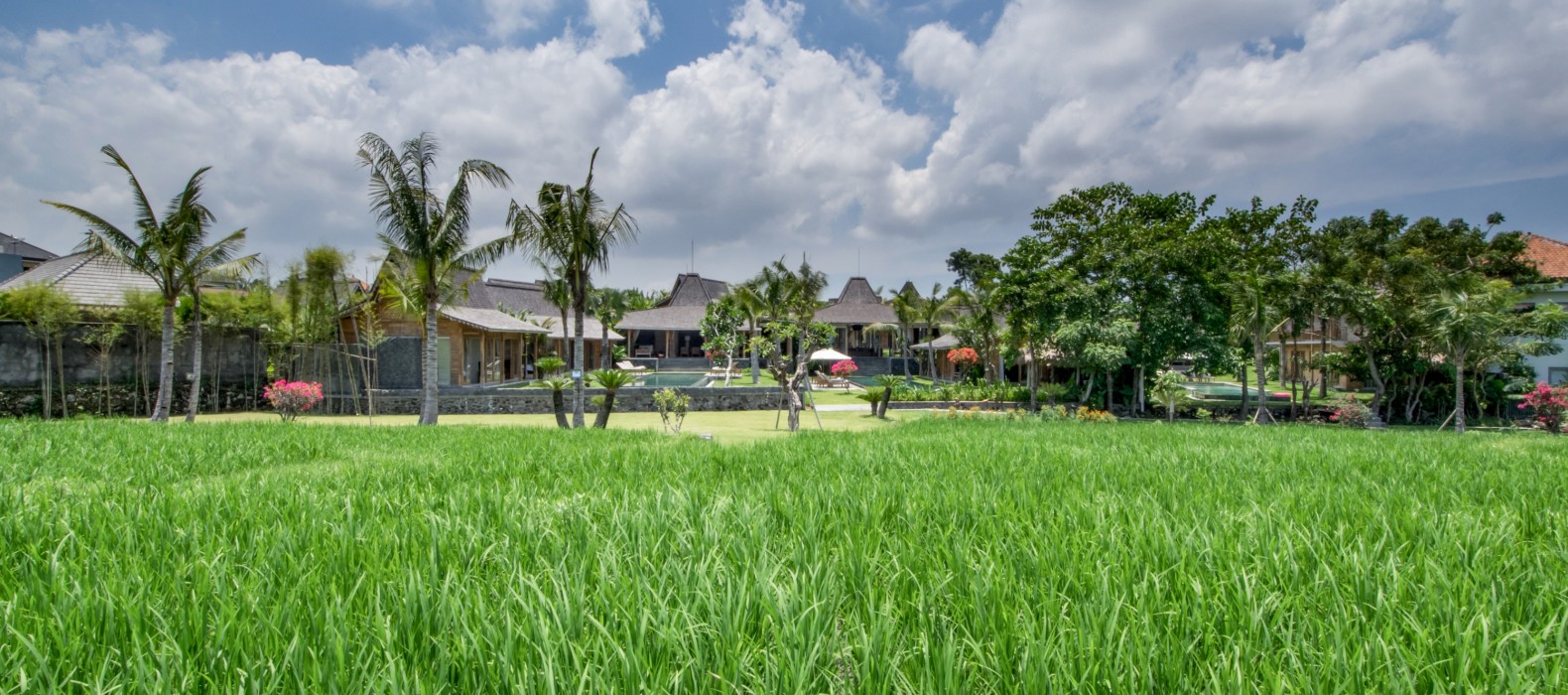 Landscape view of Villa Manoa Estate in Bali