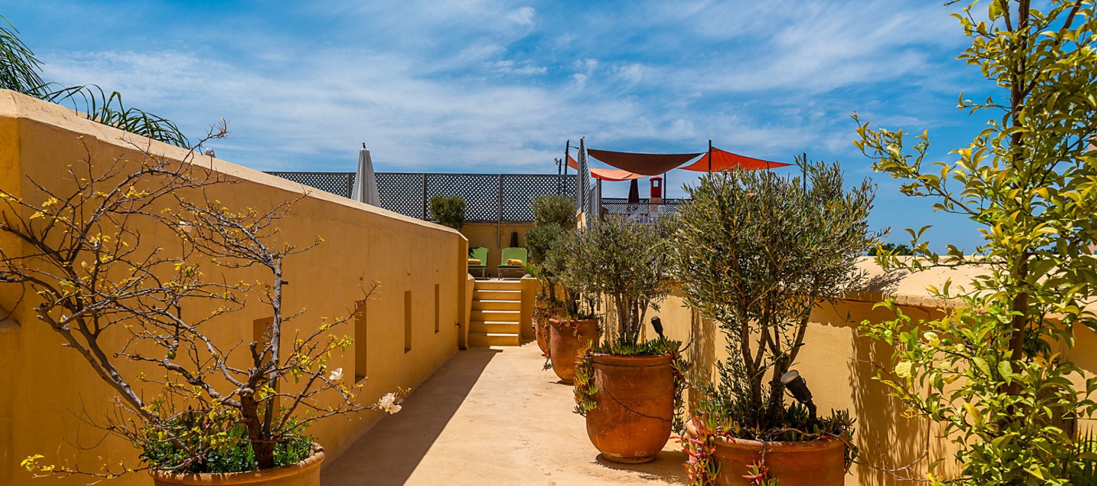 Rooftop view of Riad B'House in Marrakech