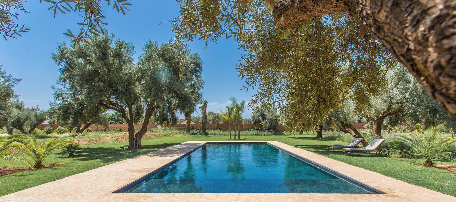 Pool area of Villa Coeur d´Oliviers in Marrakech