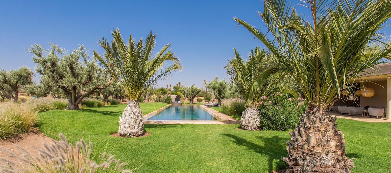 Garden with pool of Villa Oasis in Marrakech