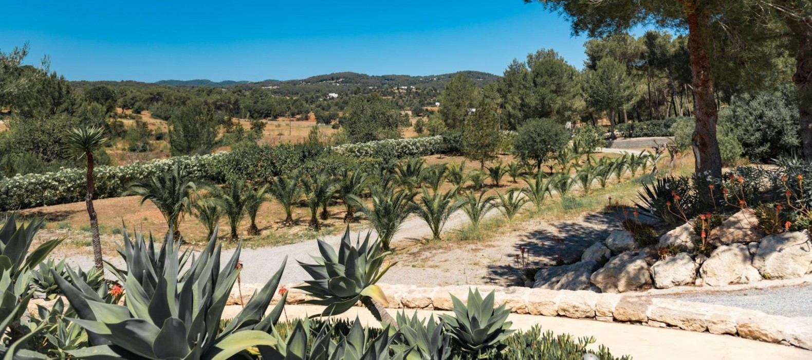 Nature view of Villa Evenfall in Ibiza