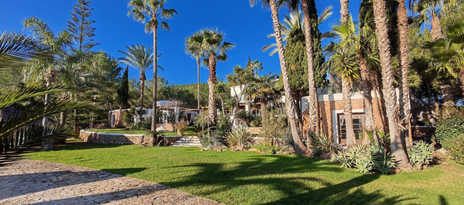 Garden nature palms of Villa Parallel Life in Ibiza