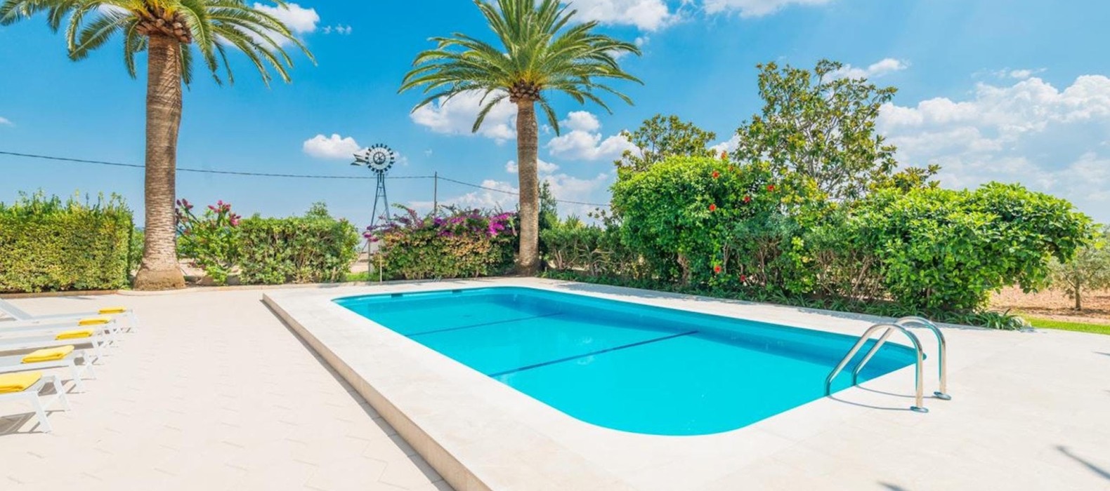 Exterior pool area palms of Villa Can Euphoria in Mallorca