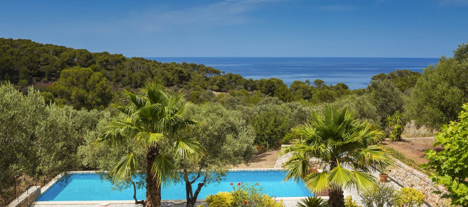 Garden with pool area of Villa Can Jungle in Mallorca